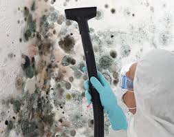 Best Mold Odor Removal Services  in Iola, WI